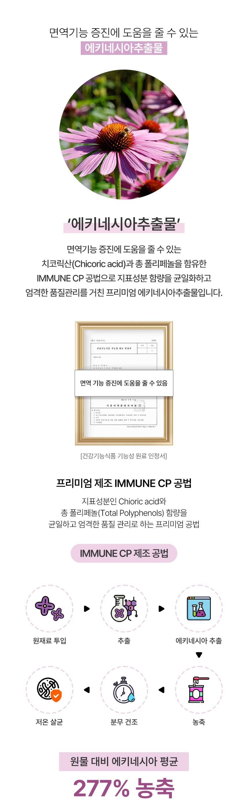 에키네시아추출물 면역기능 IMMUNE CP 공법 277% 농축