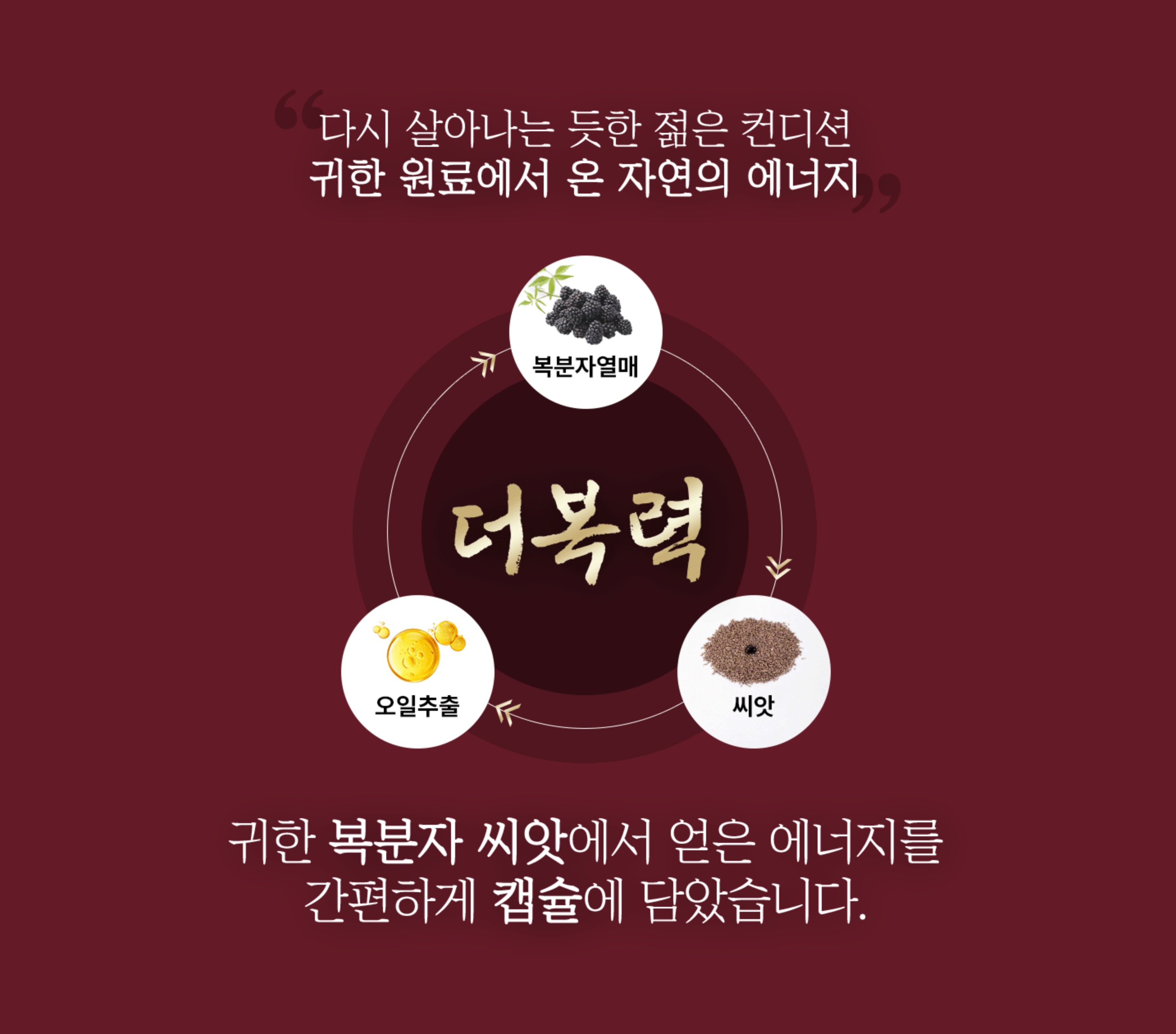 더복력 원료 - 귀한 복분자 씨앗에서 얻은 에너지를 캡슐에 담다