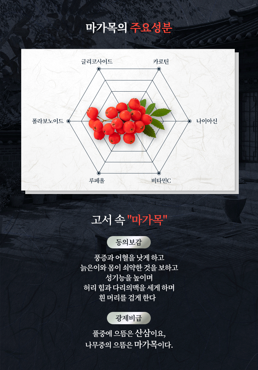 마가목과 주요 성분명 안내