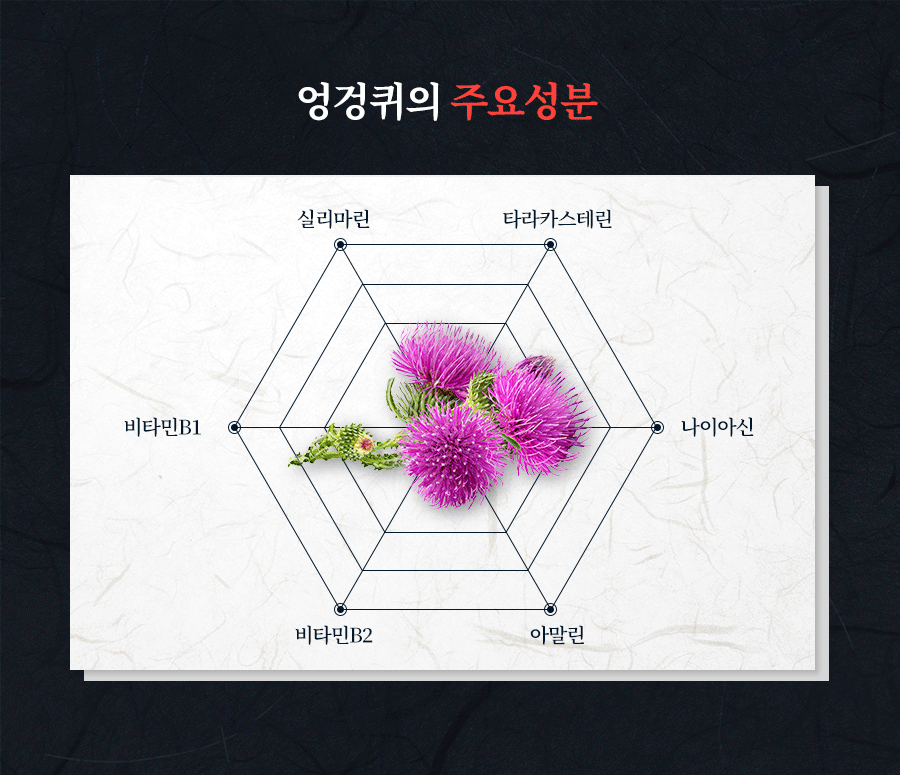 엉겅퀴와 주요 성분명 안내