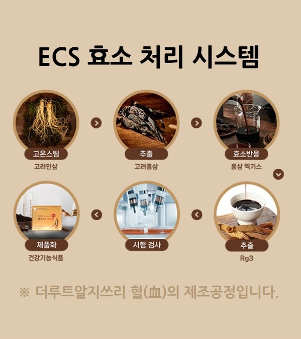 ECS 효소 처리 시스템 고온스팀 추출 효소반응 홍삼엑기스 Rg3 추출 제품화
